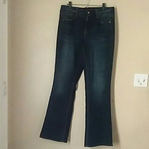Lane bryant bootcut jeans
